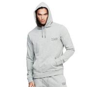 Frank Dandy Unisex Solid Hoodie Gråmelerad bomull Large Herre