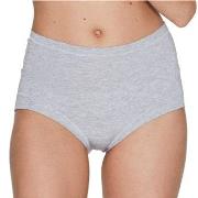 JBS of Denmark Truser Bamboo Maxi Brief Lysgrå Medium Dame