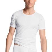 Calida Pure and Style T-shirt Hvit bomull Medium Herre