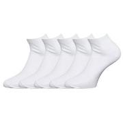 Claudio Strømper 5P Sneaker Socks Hvit Str 40/47 Herre