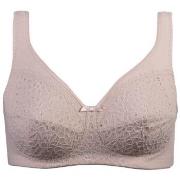 Damella BH Classic Soft Lace Bra Pudder B 80 Dame