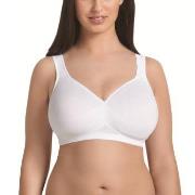 Rosa Faia BH Twin Seamless Soft Bra Hvit A 75 Dame