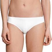 Schiesser Truser Invisible Lace Brief Hvit 36 Dame