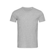 Stedman Ben (Crew Neck) For Men Grå ringspunnet bomull Medium Herre