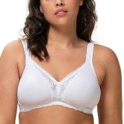 Triumph BH Modern Lace Cotton Soft Bra Hvit B 90 Dame