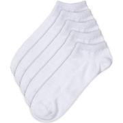 Pierre Robert Strømper 5P Low Cut Socks Hvit Str 41/45