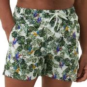 Björn Borg Badebukser Sylvester Swim Shorts Hvit/Grønn polyester Small...