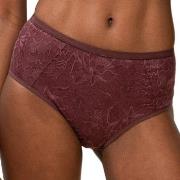 Triumph Truser Amourette Charm Maxi Panty Vinrød  36 Dame