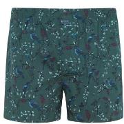 Jockey Woven Poplin Boxer Shorts Grønn bomull Medium Herre