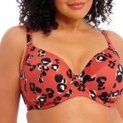 Elomi Kotiya Underwire Plunge Bikini Top Oransje/Svart H 80 Dame