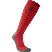 Seger Strømper Alpine Compression Sock Rød Str 40/42