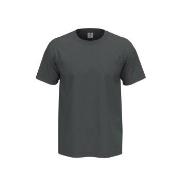Stedman 4P Comfort Men T-shirt Grå bomull XX-Large Herre