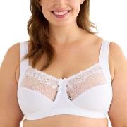 Swegmark BH Delight Soft Bra Hvit polyamid C 75 Dame