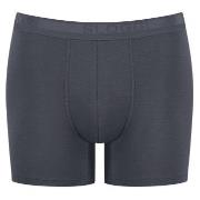 Sloggi 2P Men EverNew Short Grå bomull XX-Large Herre