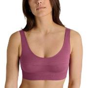 Calida BH Elastic Top Gammelrosa bomull Small Dame