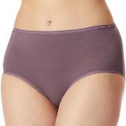 Schiesser Truser 2P Modal Essentials Midi Briefs Lilla/Svart bomull 40...