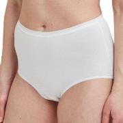 Decoy Truser 5P Maxi Briefs Hvit økologisk bomull Small Dame