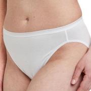 Decoy Truser 5P Tai Briefs Hvit økologisk bomull Medium Dame