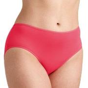 Miss Mary Soft Panty Truser Korall 3XL Dame