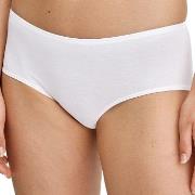 Calida Truser Essential Cotton Hipster Panty Hvit bomull X-Small Dame
