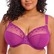 Elomi BH Matilda Underwired Plunge Bra Fuchsia/Lilla H 90 Dame