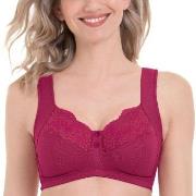 Anita BH Orely Support Bra Cherry nylon C 85 Dame