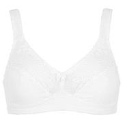Damella BH Felice Soft Bra Hvit bomull C 85 Dame