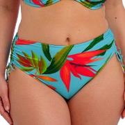 Fantasie Pichola High Waist Bikini Brief Mixed Large Dame