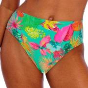 Freya Isla Margarita High Waist Brief Jade/Grønn X-Large Dame