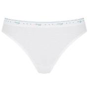 Sloggi Truser 3P 24 7 100 Tai Briefs Hvit bomull 44 Dame