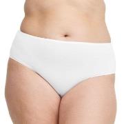 Swegmark Truser Essence Midi Briefs Modal Hvit modal Medium Dame