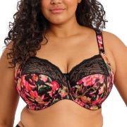 Elomi BH Morgan Banded Bra Blomstret H 80 Dame