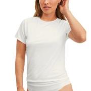 Calida Natural Skin T-shirt Hvit Small Dame