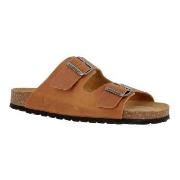 Axelda Andrea Kamel Str 43