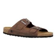 Axelda Andrea Mørkbrun  Str 49