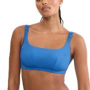 Triumph Palina Love By The Sea Soft Bikini Top Blå G 44 Dame