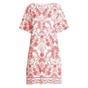 Calida Short Sleeve Nightdress Lakserosa bomull Medium Dame