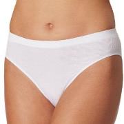 Schiesser Truser Pure Rib Organic Cotton Rio Briefs Hvit 36 Dame