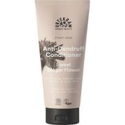 Urtekram Anti-Dandruff Sweet Ginger Flower Conditioner 180 ml