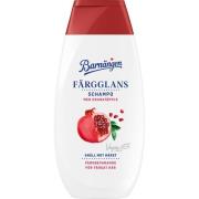 Barnängen Färgglans Schampo 250 ml