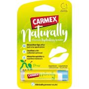 Carmex Lip Balm Naturally Pear Stick