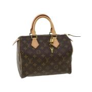 Pre-owned Brunt lerret Louis Vuitton Speedy