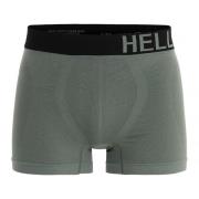 Hellner Men's Svierkku Seamless Boxer Laurel Wreath