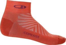 Icebreaker Men's Run+Ultralight Mini Vibrant Earth/Go Berry