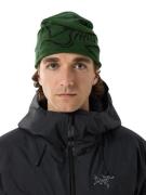 Arc'teryx Bird Head Toque Eden/Black