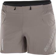 Salomon Men's Sense Aero 5'' Shorts Iron