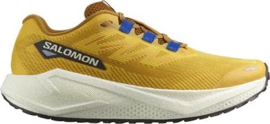 Salomon Men's Aero Blaze 3 Grvl Spicy Mustard/Vanilla Ice/Nautical Blu...