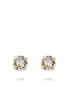 Classic Stud Earring Gold Accessories Jewellery Earrings Studs Gold Ca...