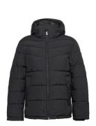 Puffer Jacket With Hood Fôret Jakke Black Tom Tailor