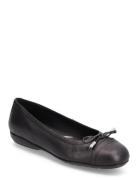 D Annytah D Ballerinasko Ballerinaer Black GEOX